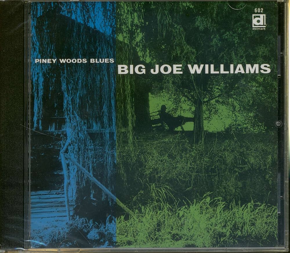 英LP Big Joe Williams Blues On Highway 49 32191 ESQUIRE /00260 NC0zNjI4LmpwZWc.jpeg
